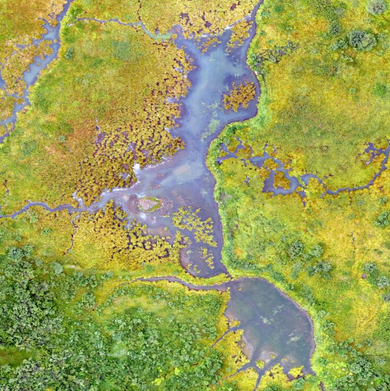 Basic GIS Certificate Course (5 days)